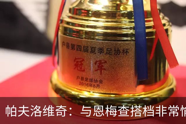 帕夫洛维奇：与恩梅查搭档非常愉快，诺伊尔对我帮助巨大