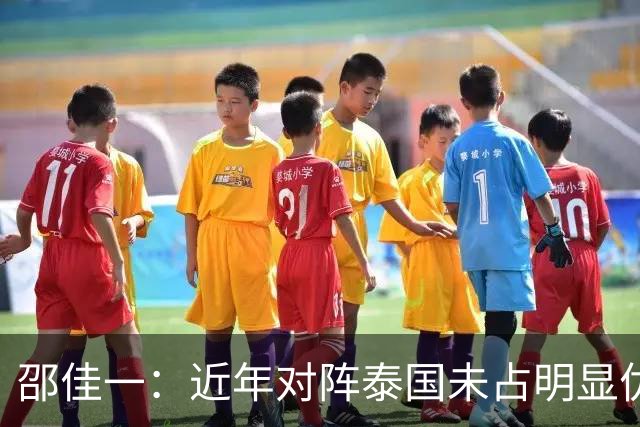 邵佳一：近年对阵泰国未占明显优势 国家队无友谊赛
